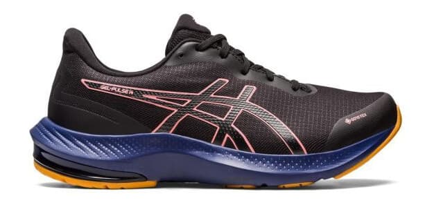 Asics Gel-Pulse 14 GTX 42 - main photo