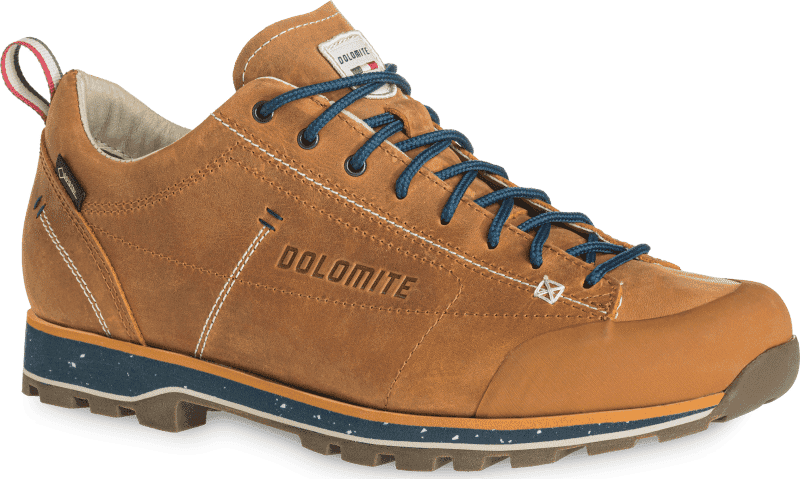 Dolomite Men's Dolomite 54 Low FG EVO GORE-TEX Brun 36 2/3 Man - main photo