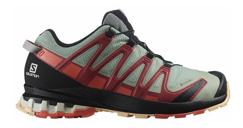 Salomon Xa Pro 3d V8 Gtx Ws Grå Grå female 38 - main photo