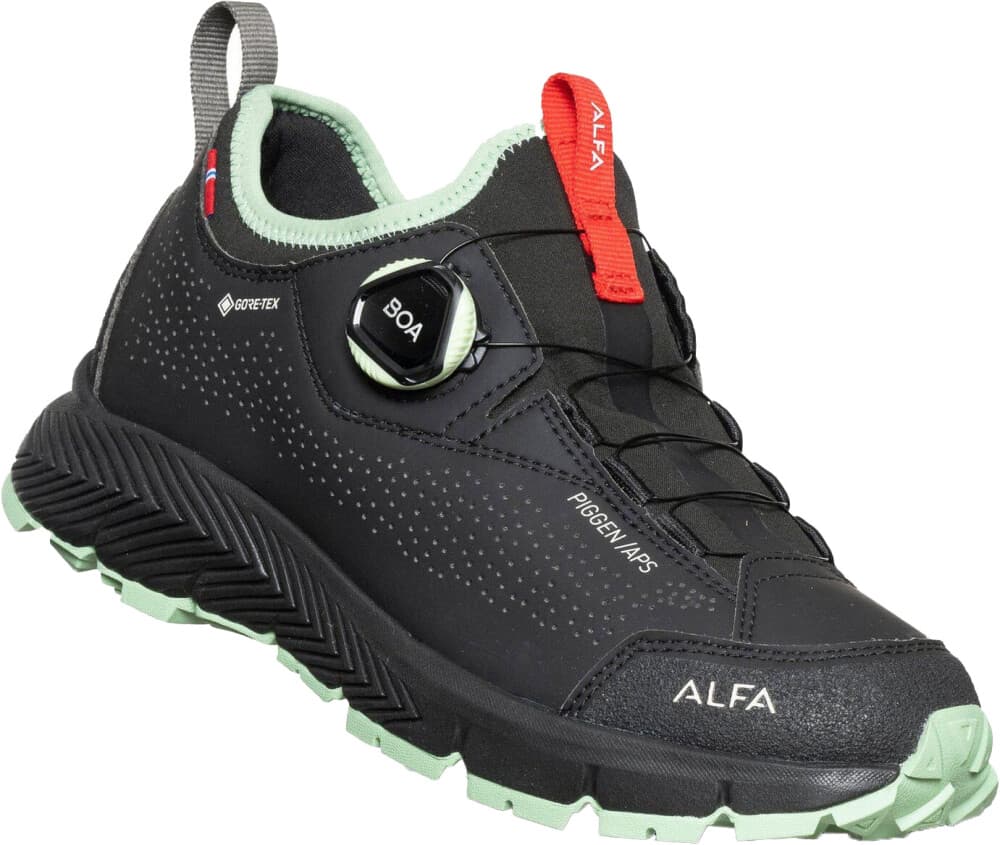 Alfa Piggen A/p/s Gtx Dame Black 40 - main photo