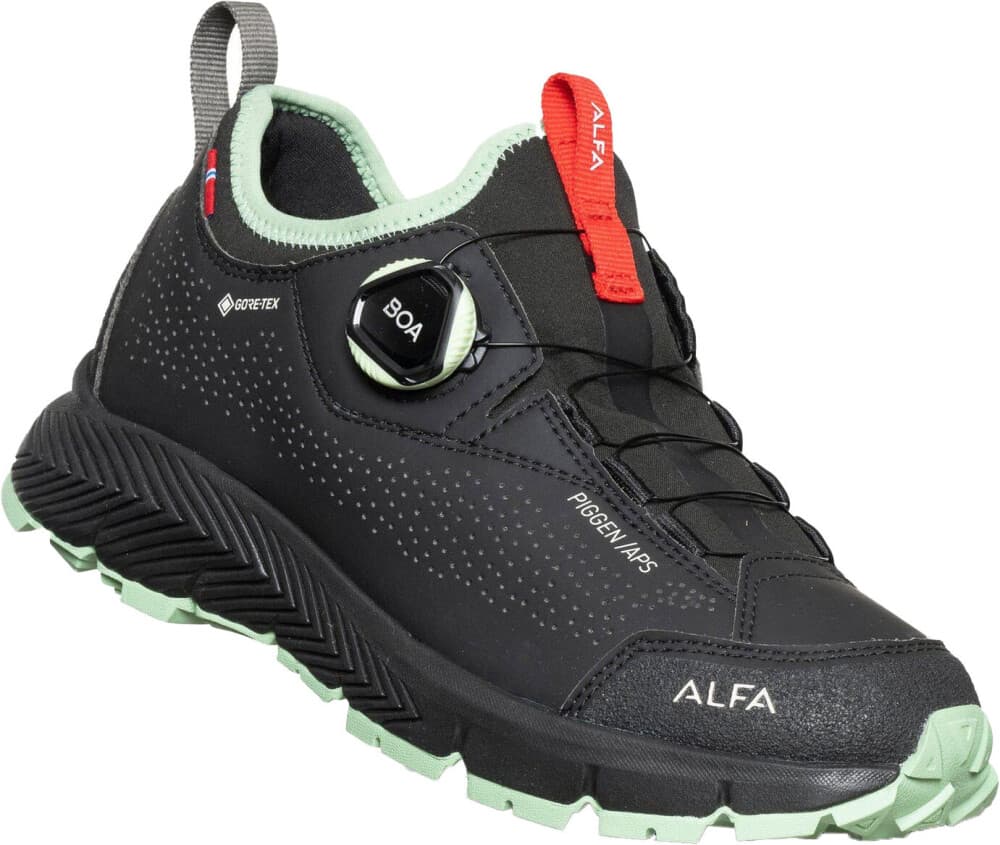 Alfa Piggen A/p/s Gtx Dame Black 41 - main photo