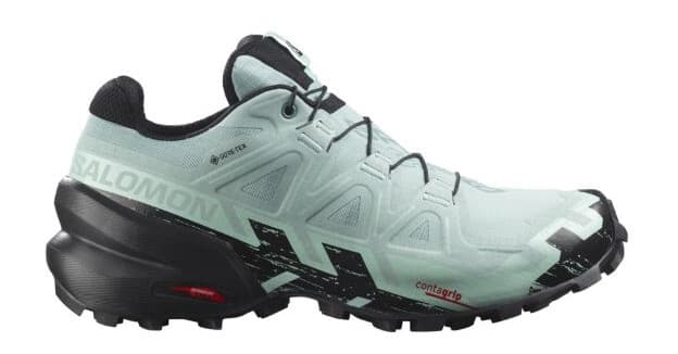 Salomon Speedcross 6 GTX 38 - main photo