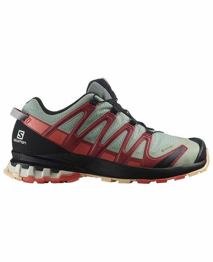 Salomon Xa Pro 3d V8 Gtx Ws Grå Grå female 38 - side a