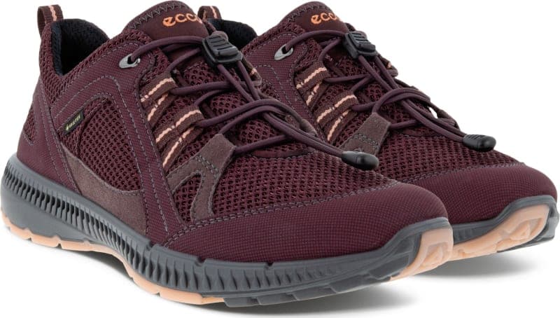 Ecco Women's Terracruise II Gtx Tex 40, Fig/Fig - main photo