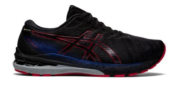 Asics GT-2000 10 G-TX 42.5 - main photo