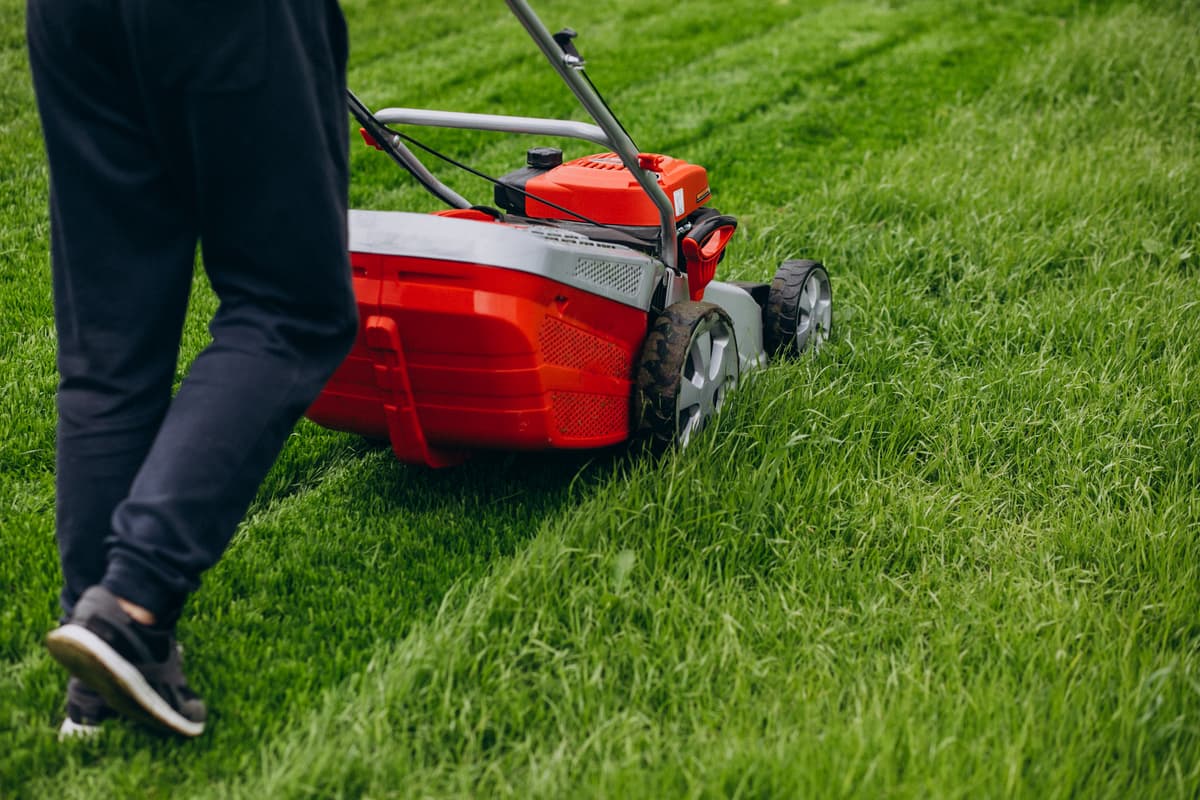 gressklipper bratt terreng: klippe gresset