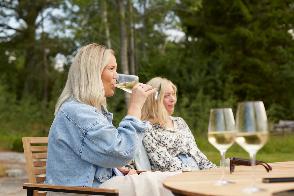 hvordan velge vinskap: kald vin
