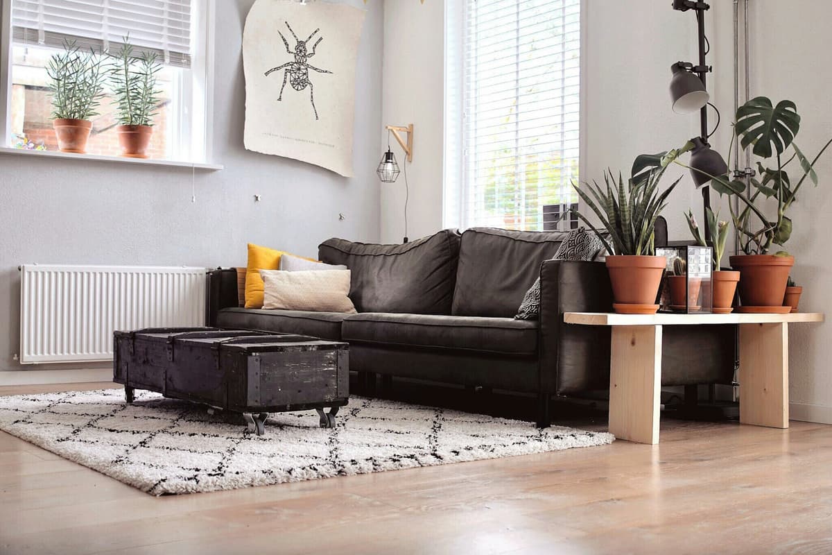 hvordan velge teppe: teppe ved sofaen