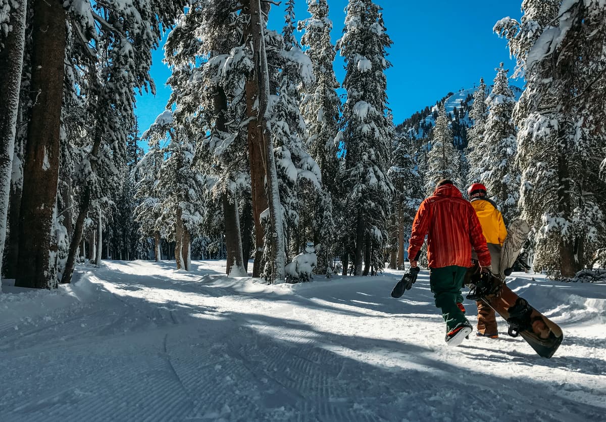 hvordan velge snowboard: to personer i skogen med et snowboard
