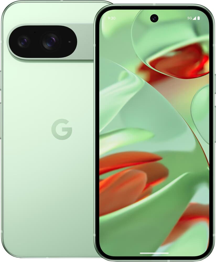 Google Pixel 9 5G 12GB/256GB Wintergreen