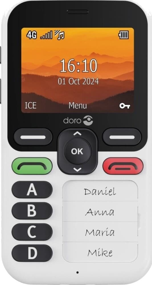 Doro Leva X10