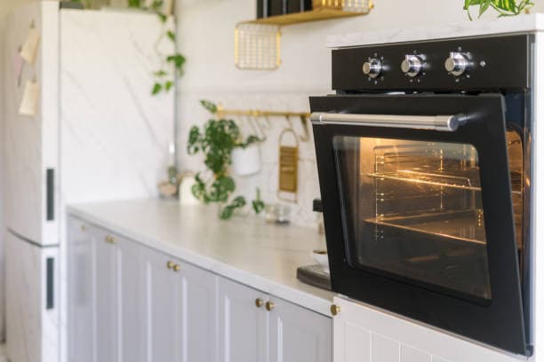 pyrolyse ovn: stekeovn med dør på gløtt