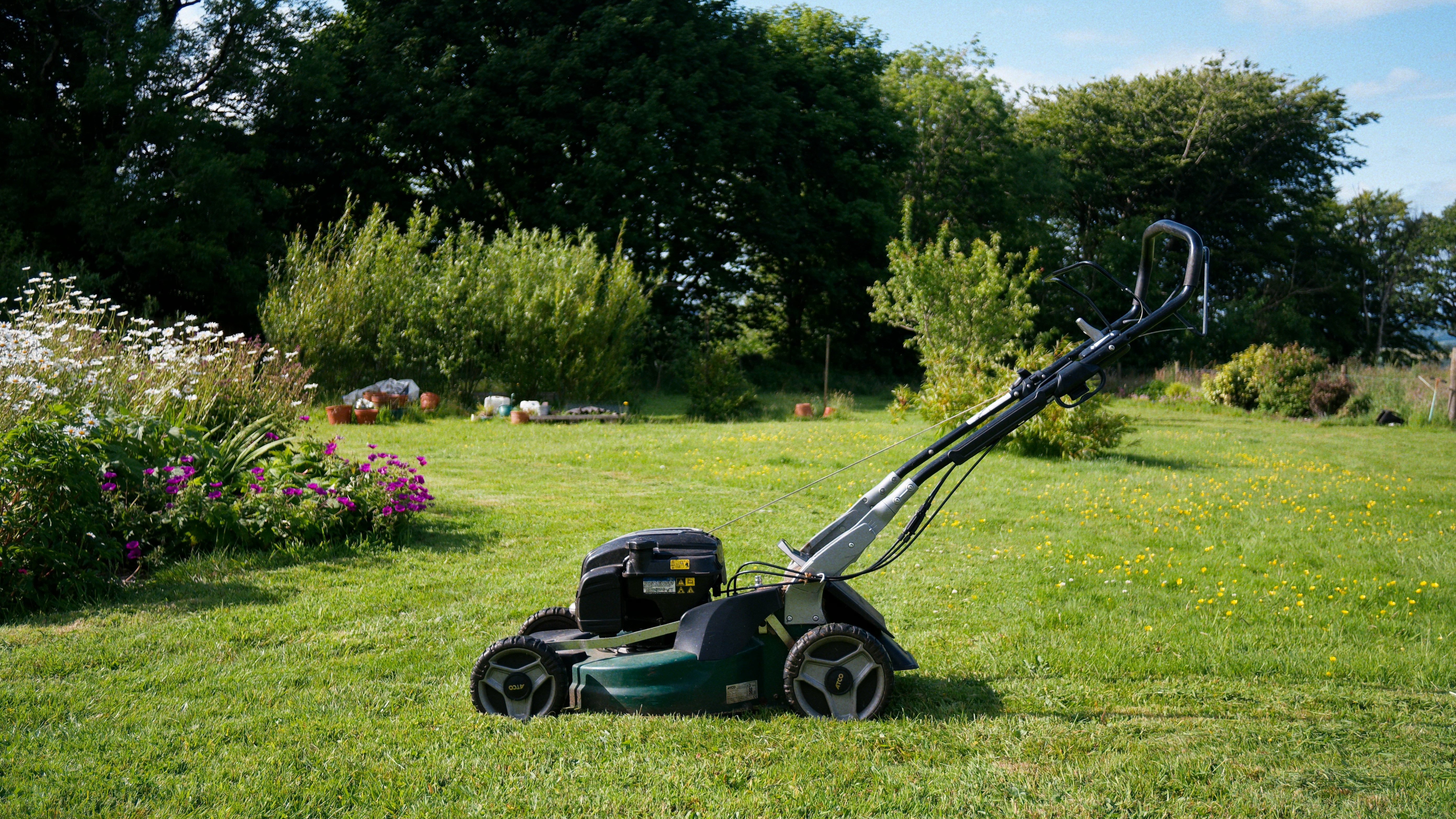 hvordan velge rett gressklipper: bensin gressklipper