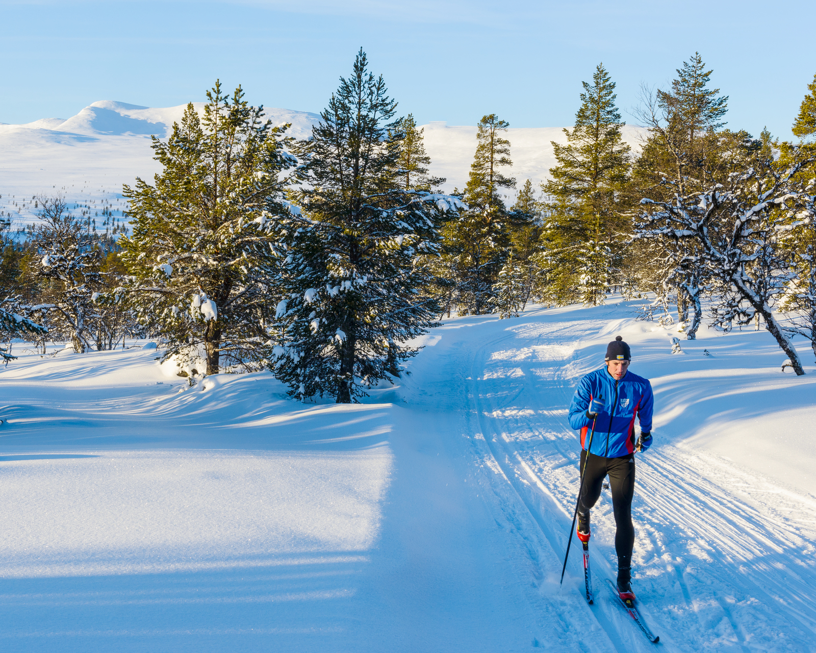 hvordan velge skøyteski: en mann på langrennsski