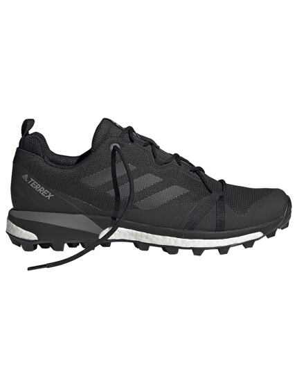 Adidas Terrex Skychaser Lt GTX M Carbon/CBlack/Grefou (Storlek 8.5 UK)