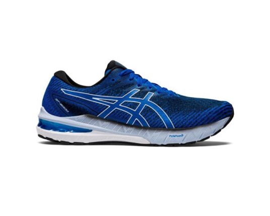 Asics GT-2000 10 42.5