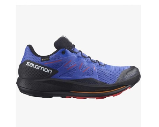 Salomon Pulsar Trail GTX 46