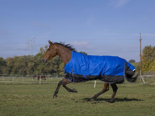 EQUITHEME TYREX 1200D Aisance Hestedekken Med Høy Hals Blå/Svart 0 g (6'0 - 130 cm)