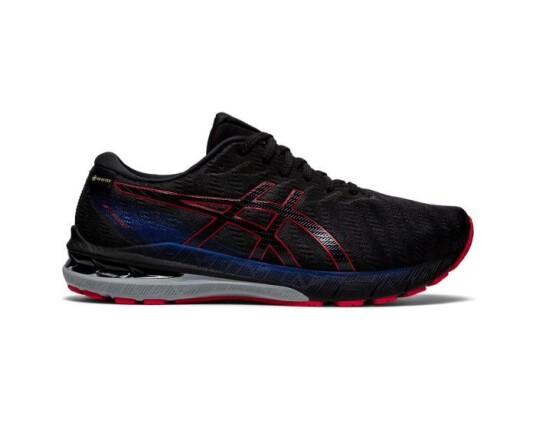 Asics GT-2000 10 G-TX 43.5