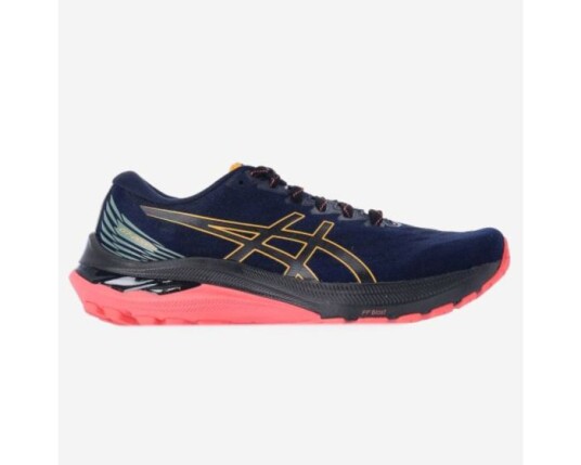 Asics GT-2000 11 TR 40.5