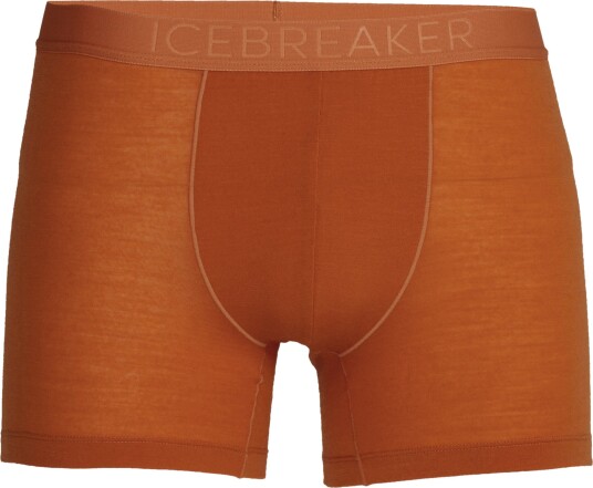 Icebreaker Anatomica Cool-Lite Boxer Ms Earth M