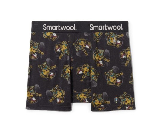 Smartwool Merino Print Boxer Breif Boxed S