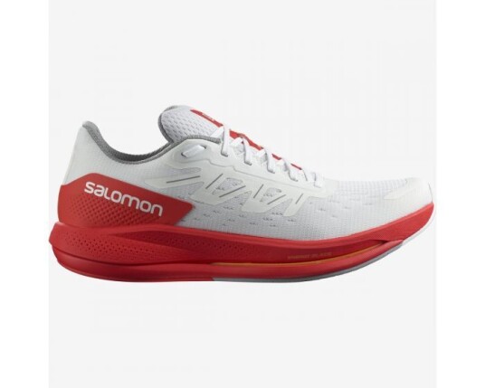 Salomon Spectur 44