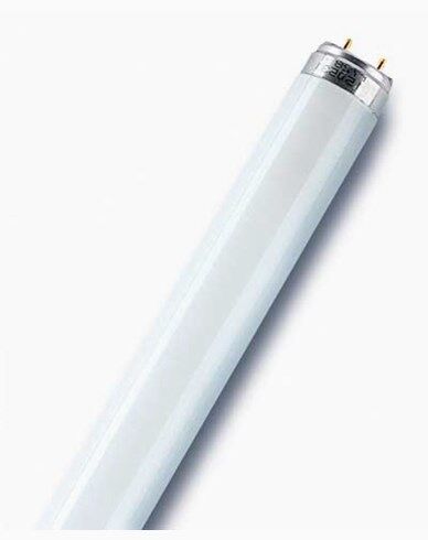 Osram T8 L 18W/827 Lumilux Interna G13. 590 mm