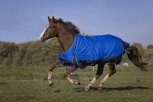 EQUITHEME TYREX 1200D Aisance Hestedekken Blå/Svart 300 g (6'0 - 130 cm)