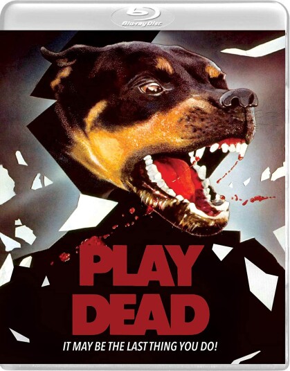 Play Dead (1983)