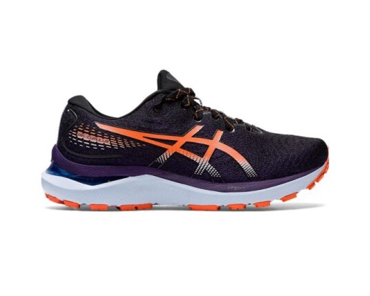 Asics Gel-Cumulus 24 TR 40.5