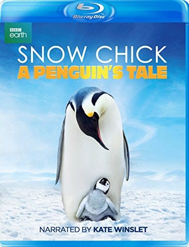 Snow Chick  A Penguin's Tale