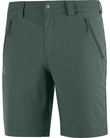 Salomon Wayfarer LT Shorts M Green Gables (Storlek 54/R)