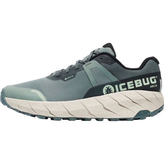 Icebug Men's Arcus RB9X Gore-Tex Grønn 42.5 Man