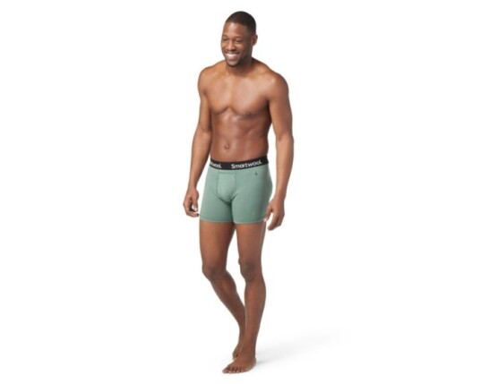 Smartwool Boxer Brief Boxed Wool L