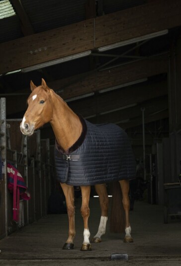 EQUITHEME 'Teddy' Stalldekken Fôret Med Syntetisk Saueskinn Svart/Brun (7'0 - 160 cm)