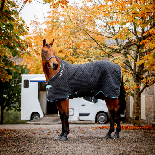 Horseware Hestetøy Høstdekken 50 g - Svart/ Aqua & Sølv (6'6 - 145 cm)