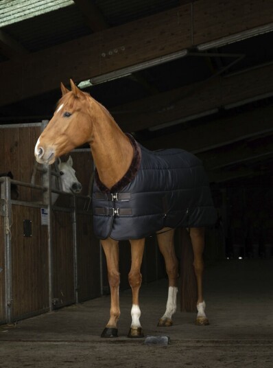 EQUITHEME 'Teddy' Stalldekken Svart/Brun (6'6 - 145 cm)