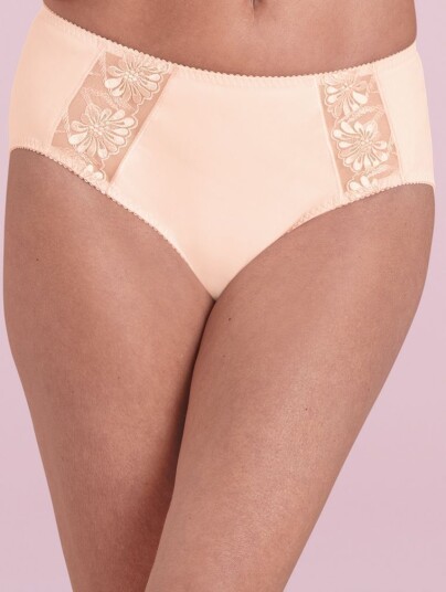 Anita Anita Safina Comfort High Waist Brief 50