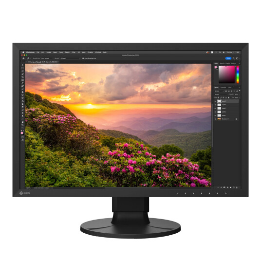 EIZO ColorEdge CS2400SCAL