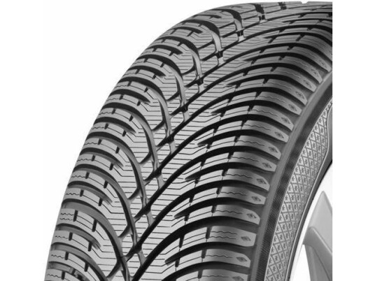 BF Goodrich g-Force Winter 2 205/55R16 91T