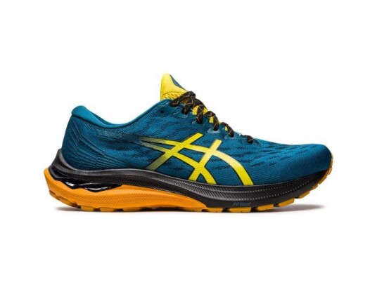 Asics GT-2000 11 TR 42.5