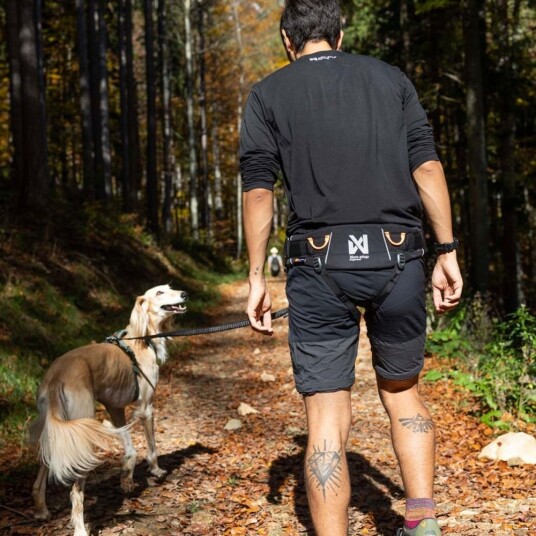 Non-stop Dogwear Trekking 2.0 Magebelte til hund Svart (S)