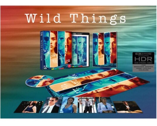 Wild Things (1998)