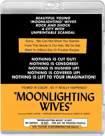 Moonlighting Wives (1966)