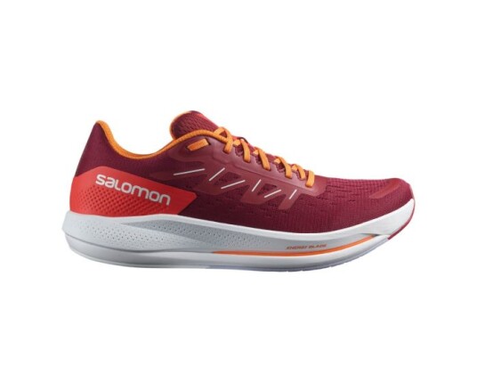 Salomon Spectur 46 2/3