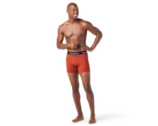 Smartwool Boxer Brief Boxed Wool L