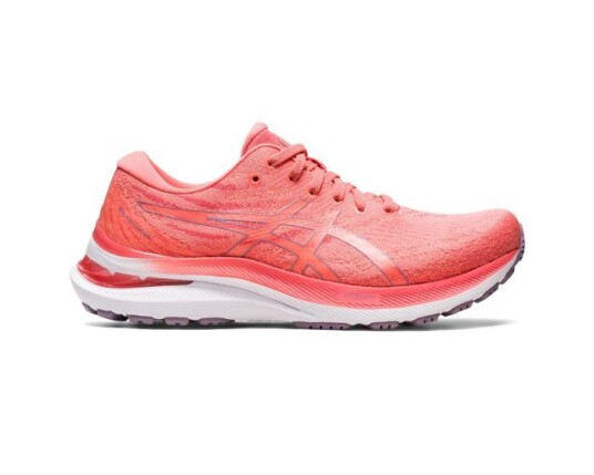 Asics Gel-Kayano 29 39.5