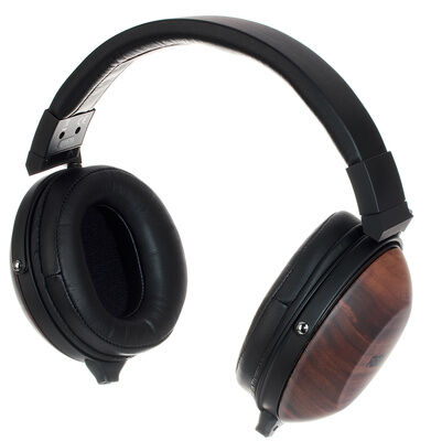 Fostex TH-610