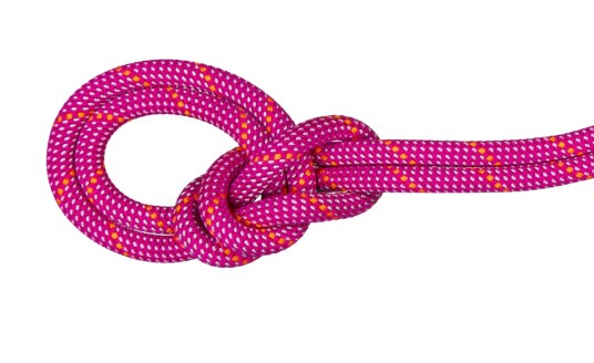 Mammut 9.5 Crag Dry Rope 60 M Pink-zen 60 m